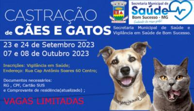 Castração de cães e gatos! Vagas limitadas!