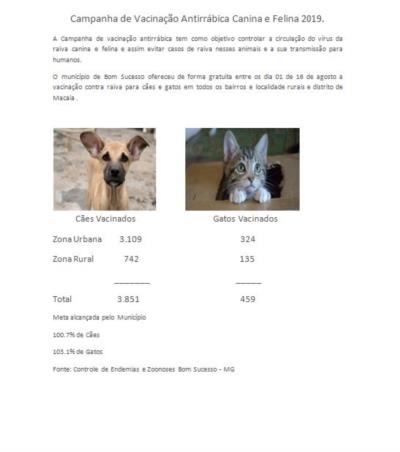 Informativo – Campanha de Vacinação Antirrábica Canina e Felina 2019