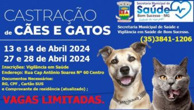 Castração de Cães e Gatos