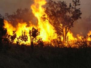 QUEIMADAS PREJUDICAM 20 MIL CONSUMIDORES DA CEMIG EM 2018 – MAIORIA DOS INCÊNDIOS OCORRIDOS EM MINAS GERAIS É INICIADA PELA AÇÃO HUMANA