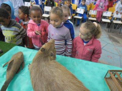 SEMANA DO MEIO AMBIENTE 2016