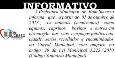 INFORMATIVO